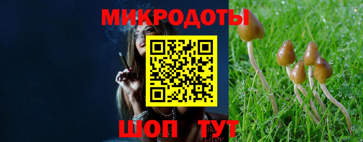Псилоцибиновые грибы мухоморы  Вход с VPN  Узловая  Псилоцибиновые грибы мицелий 