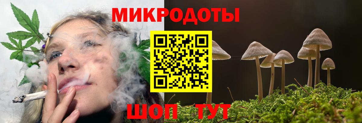 Псилоцибиновые грибы Magic Shrooms Узловая